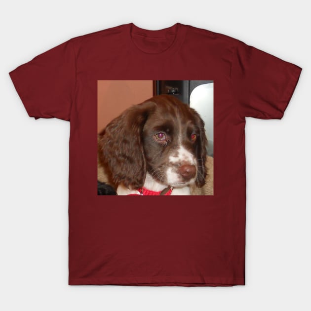 english springer spaniel liver white puppy T-Shirt by Wanderingangel